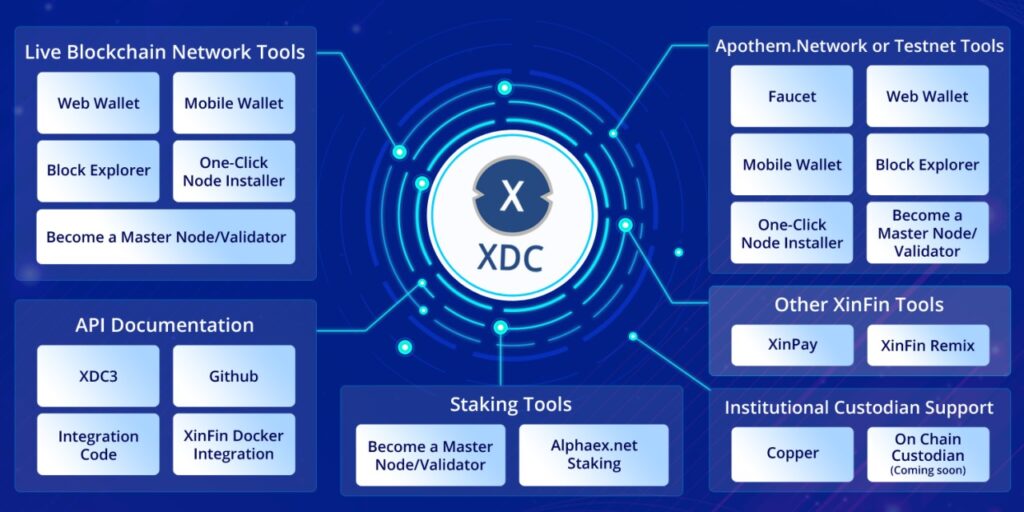 Top Altcoins To Outperform Bitcoin in 2025 XDC - gordonfrayne.com