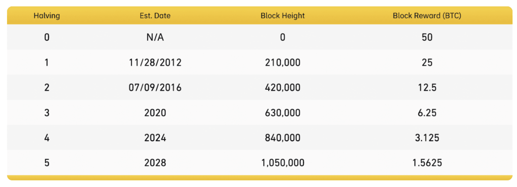 The Bitcoin Halving 2024 - gordonfrayne.com